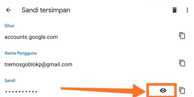 cara mengetahui sandi akun google yang lupa_524372c46.jpg